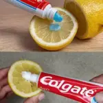 2 Ways to Make Fresh Ginger Juice and 11 Reasons to Drink It Before Bed