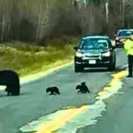 Mix Bananas, Garlic, and Dates – Your Body Will Thank You Later!