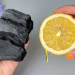 Don’t plant cucumbers without this ingredient, it doubles your crop instantly