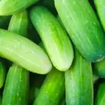 Mold in the bathroom — how to get rid of it quickly and effectively: 1 ingredient is enough.