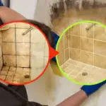 A Secret to Blossoming Hydrangeas: Use This Beverage as Fertilizer