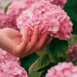 Mold in the bathroom — how to get rid of it quickly and effectively: 1 ingredient is enough.